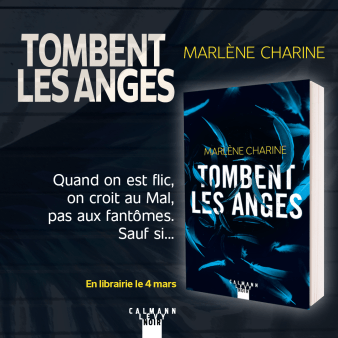 annonce-parution-tombent-anges2